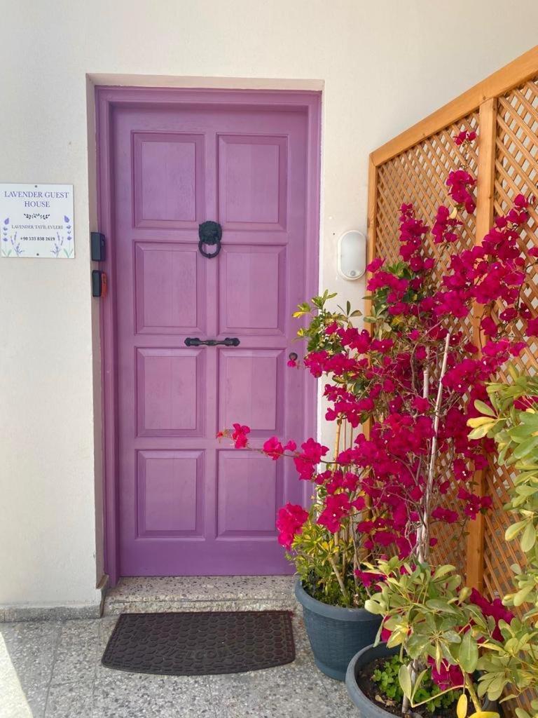 Lavender Homes, Walled City Famagusta  Exterior photo
